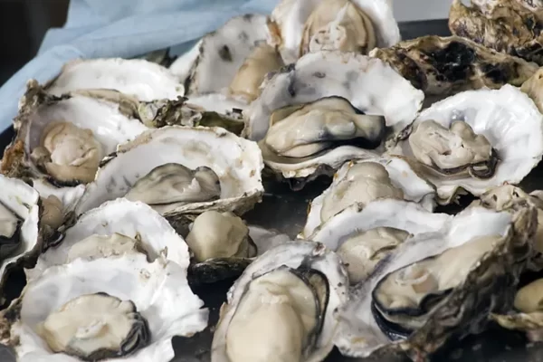Oysters, male enhancement food Many delicious benefits